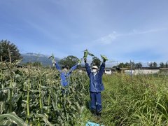 令和3年度高冷地生物生産生態学演習