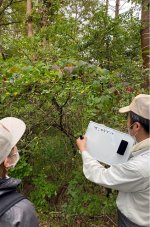 写真10_資源植物の採集と調査.jpg