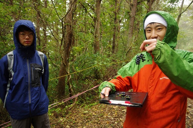 写真10　資源植物の採集と調査.jpg