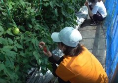 R4年度高冷地植物生産生態学演習