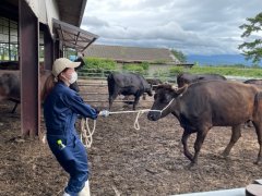 R4年度高冷地動物生産生態学演習