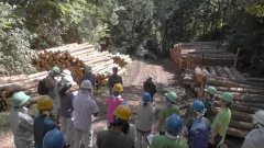 演習林内の間伐作業と土場（集積場）の視察