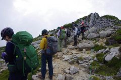 主稜線上（馬の背）での登山道沿線の観察