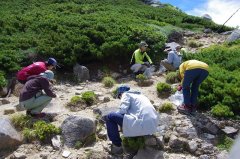 西駒山荘周辺でのゴミ拾い活動