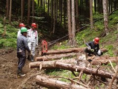 2・3日目: スイングヤーダ集材