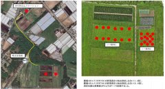 図4.演習2で用いたソバ圃場