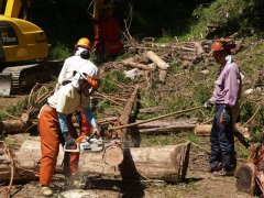 2・3日目: 手造材の様子