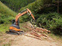 2・3日目: ハーベスタによる造材