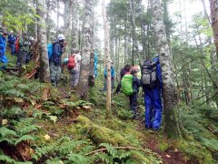 亜高山帯の温暖化試験地での見学と解説（9月18日）