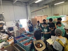 ワイナリーの見学