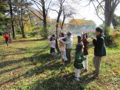 立木の樹高を測定する様子