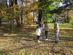 立木の樹高を測定する様子