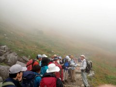 千畳敷カールでの高山植物の観察（9月17日）※ 熱中症予防のため、休憩時や危険のない場所ではヘルメットを一時的に外している。