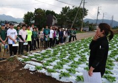 JA長野八ヶ岳の白菜畑で説明を受けている様子