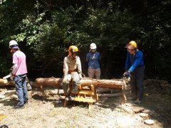 チェンソーによる丸太切り体験