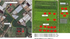 図3．演習2で用いたソバ圃場
