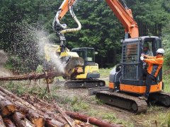 3日目: ハーベスタ造材実習