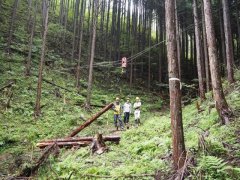 ３日目：スイングヤーダ集材
