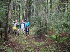 1日目：バーテックスによる樹高の測定