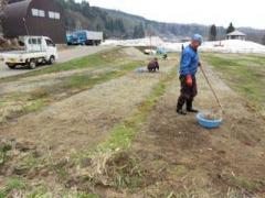 作業開始直後の広場