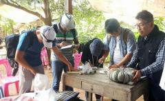 カンボジア北部ウドンメンチェイ州で収集した遺伝資源の調査を行う松島准教授ら