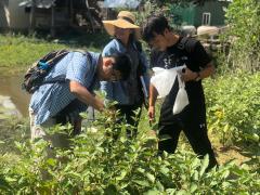 カンポット州の農村での植物遺伝資源探索の様子