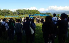 オープンフィールド（農場見学）の様子