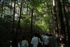 オープンフィールド（演習林ツアー）の様子