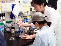 オープンラボ（研究室開放）の様子