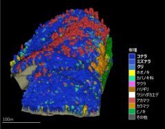 王子社有林での単木単位の詳細な森林情報の解析