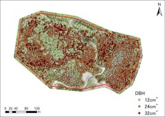 森林資源量解析（堅果類） 