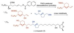 図.  (−)-Mucocinの全合成