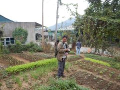 カオバン省バオラム県での遺伝資源探索風景