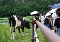 オープンフィールド(農場見学)の様子