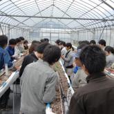 5月8日　野菜育苗管理・定植準備