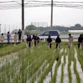 6月18日　水田管理（持続的生物生産システム実習）