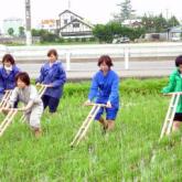 6月19、20日　水田管理02