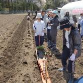 H24.4.26 野菜苗定植（食料生産科学科・動物生産学コース）