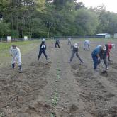 H24.5.10 野菜管理（食料生産科学科・農学コース）