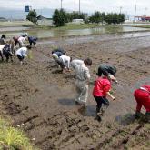 H24.5.18 田植え（食料生産科学科・農学コース）