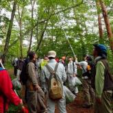 6月　野生植物生態基礎演習②