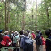 7月　森林環境学演習①