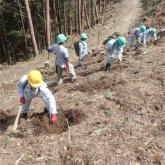 4月　植林（新植）①