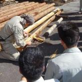 9月　木材工学演習①