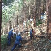 5月　間伐・枝打ち①