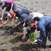 5月　田植え