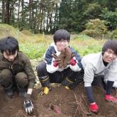 10月　さつまいもの収穫