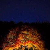 信州のココが好き部門 準グランプリ 山中和也「晩秋の彩」