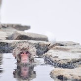 2025年フォトコンテスト