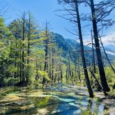 信州のここが好き部門 準グランプリ　柏木まえ「僕のお気に入りの場所」